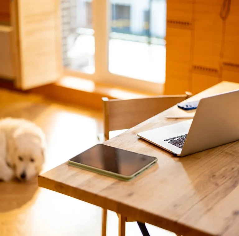 Laptop and tablet set up for an online therapy session at home, with a dog resting nearby